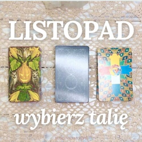 listopad2025_yt_blog_roslinnamocpl