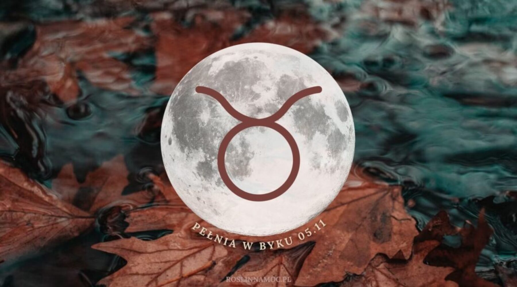 pelniawbyku2025_roslinnamocpl_1