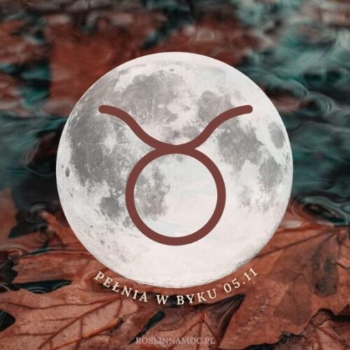 pelniawbyku2025_roslinnamocpl_1