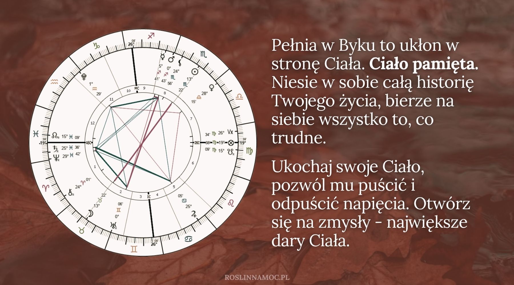 pelniawbyku2025_roslinnamocpl_2