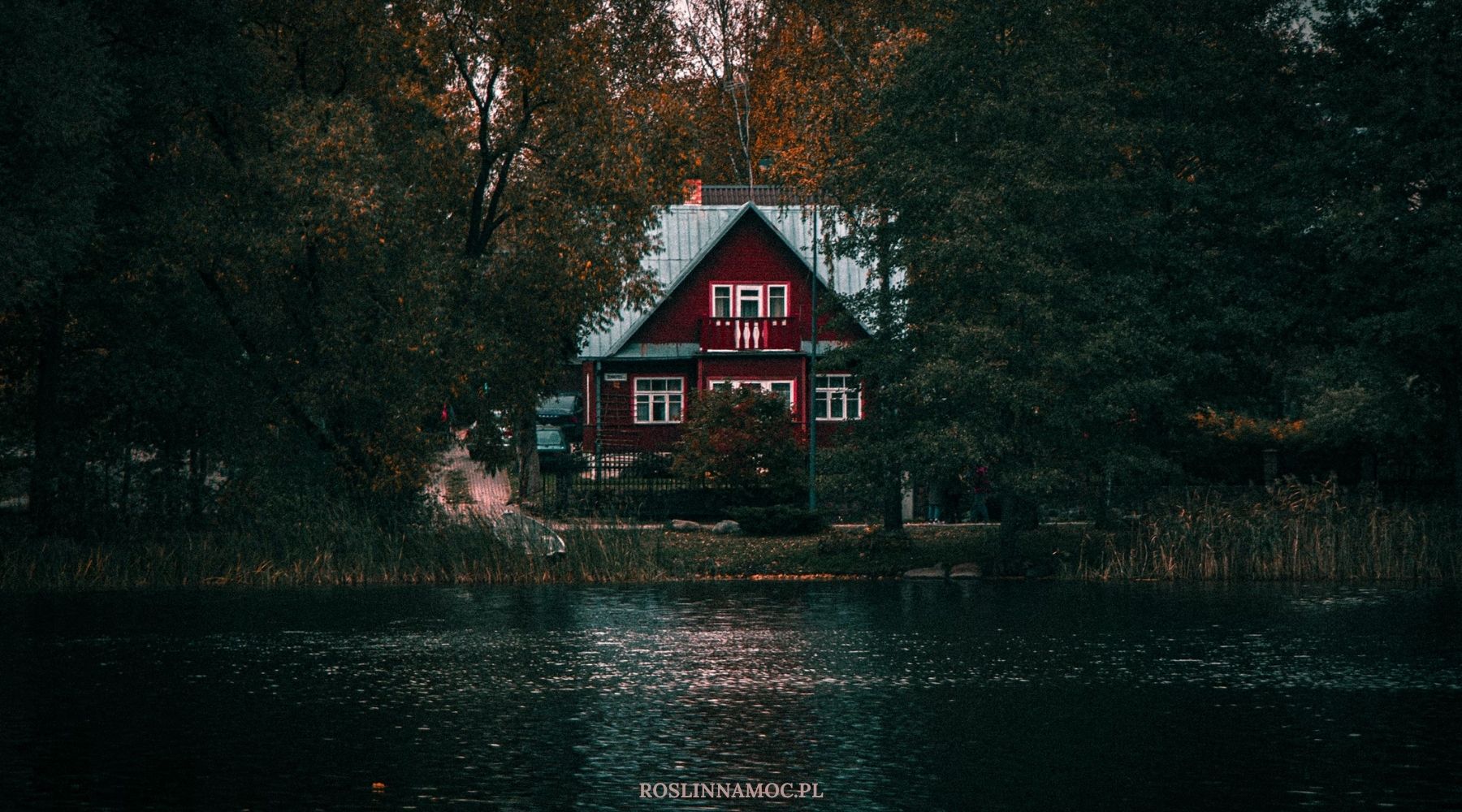 pelniawbyku2025_roslinnamocpl_3