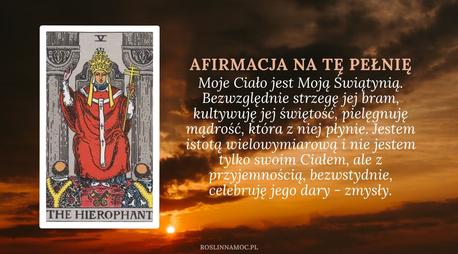 pelniawbyku2025_roslinnamocpl_4