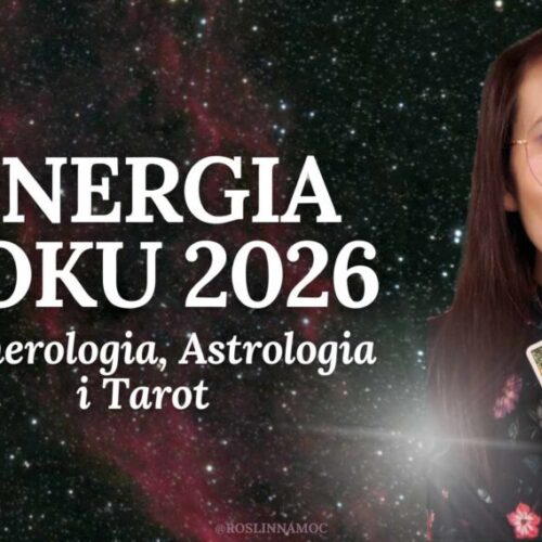 energia-roku-2026_roslinnamocpl