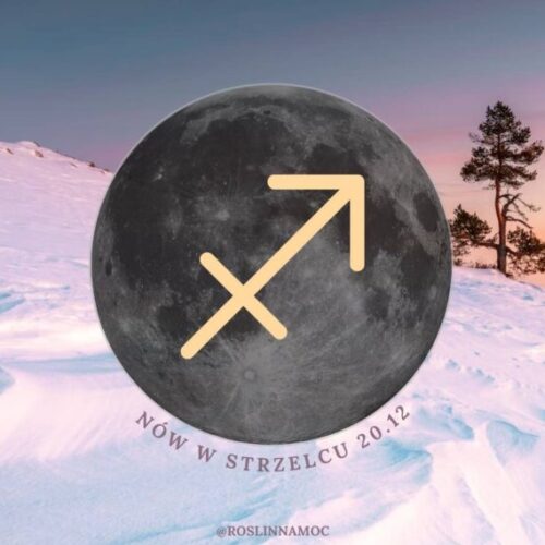 nowwstrzelcu2025_roslinnamocpl