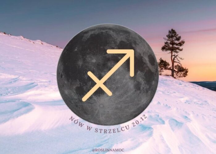 nowwstrzelcu2025_roslinnamocpl