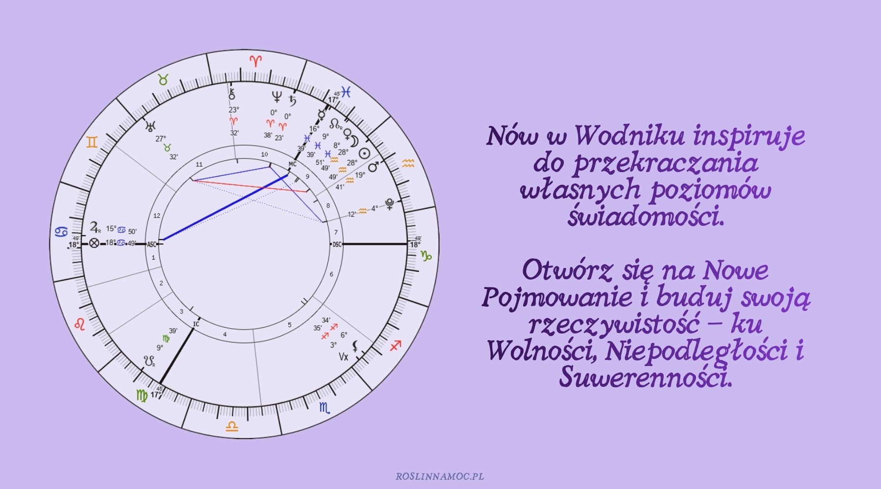 nowwodniku26_12_roslinnamoc