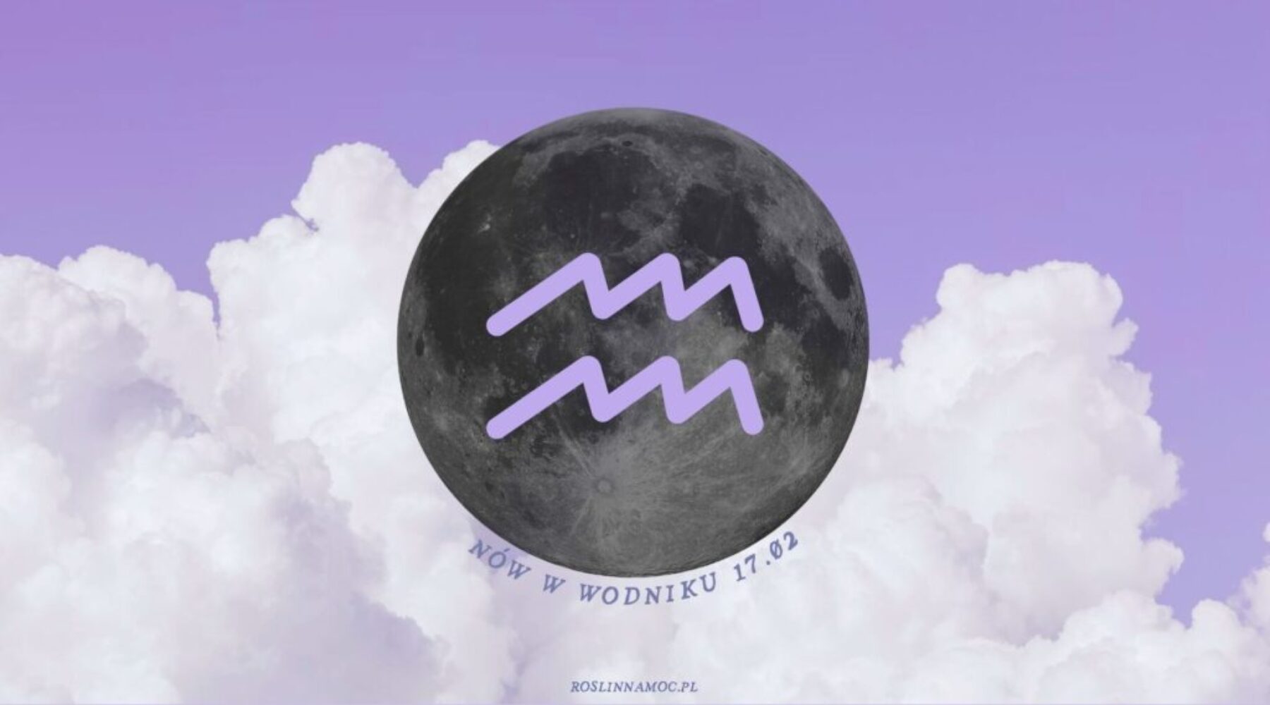 nowwodniku26_1_roslinnamoc
