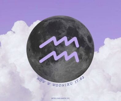 nowwodniku26_1_roslinnamoc