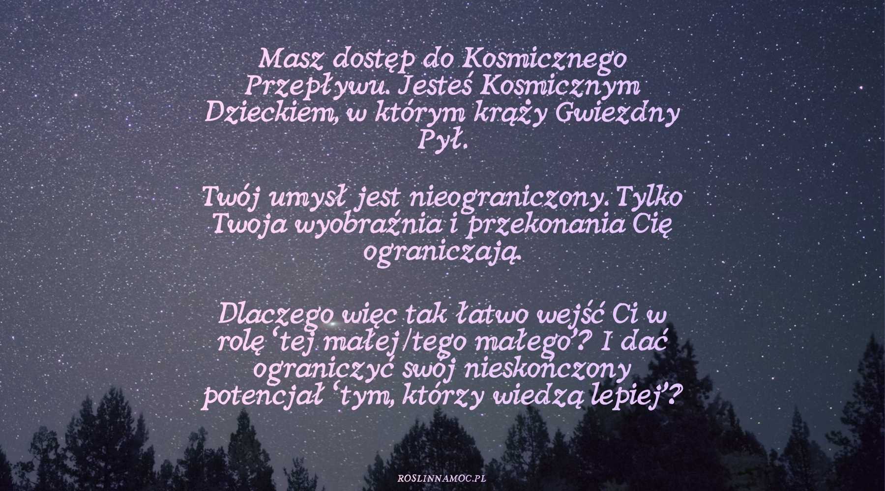 nowwodniku26_2_roslinnamoc