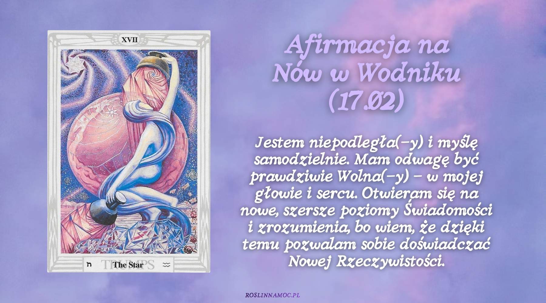 nowwodniku26_4_roslinnamoc