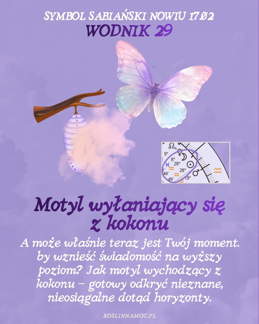 nowwodniku26_5_roslinnamoc