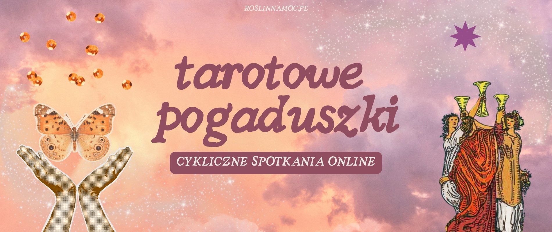 pogaduszki-roslinnamocpl-new