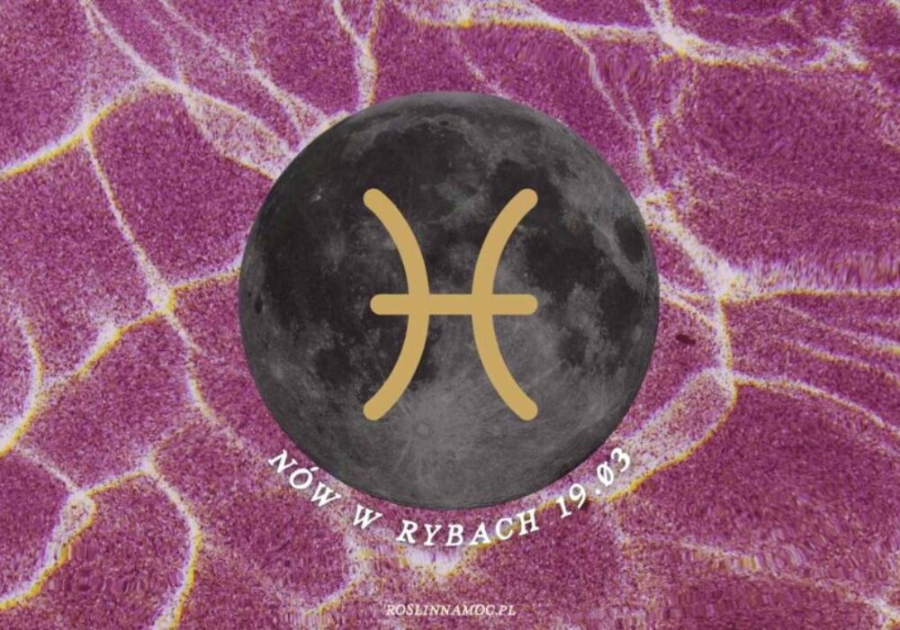 nowryby26-1-roslinnamocpl