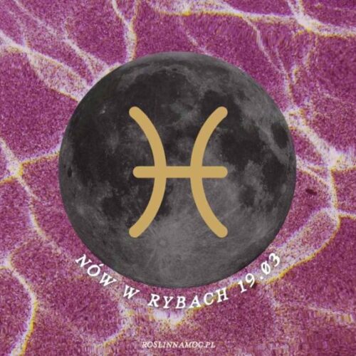 nowryby26-1-roslinnamocpl