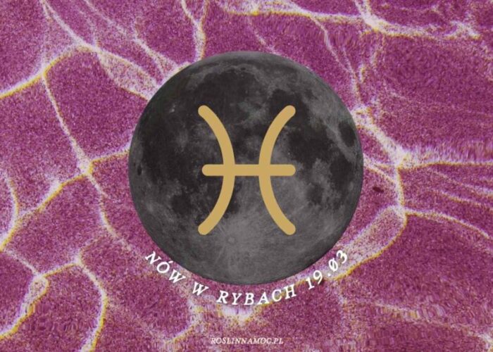 nowryby26-1-roslinnamocpl