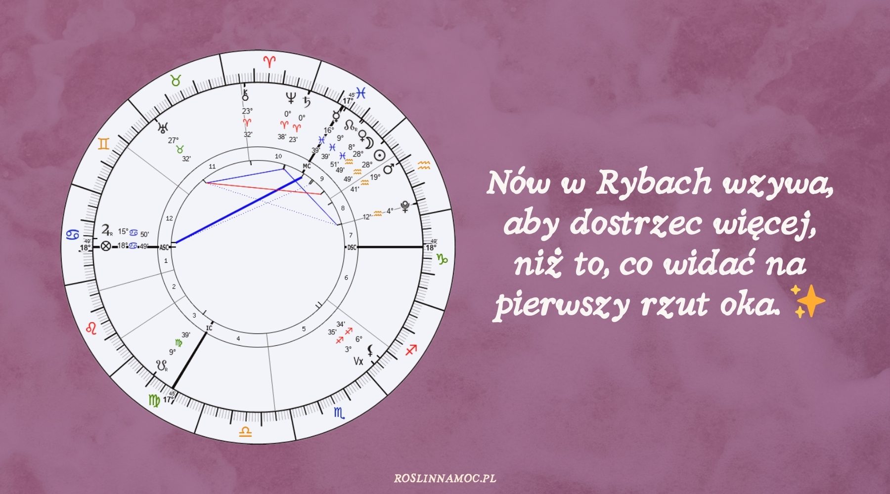 nowryby26-2-roslinnamocpl
