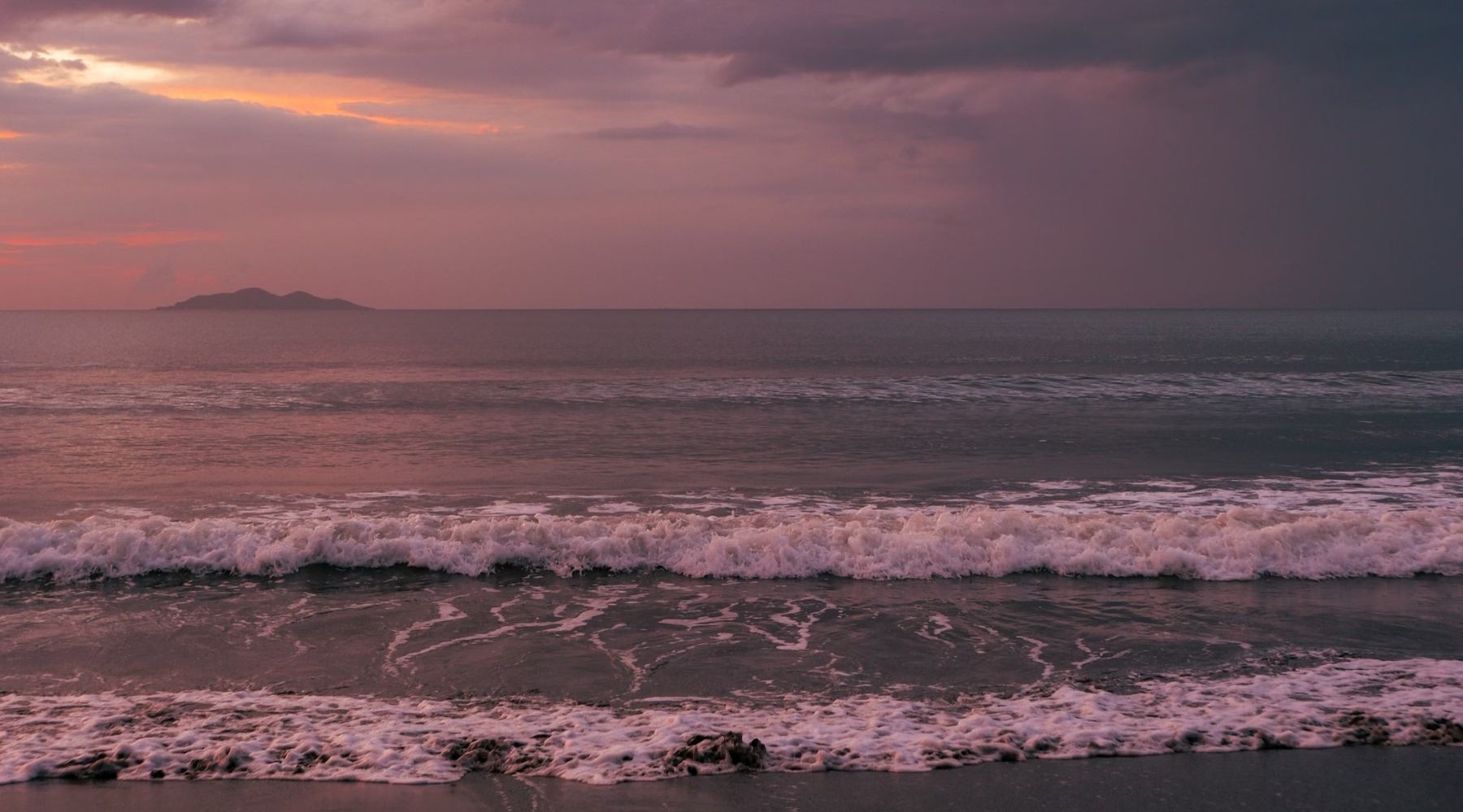 nowryby26-3-roslinnamocpl