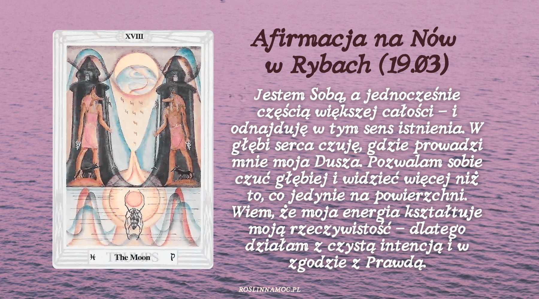 nowryby26-4-roslinnamocpl