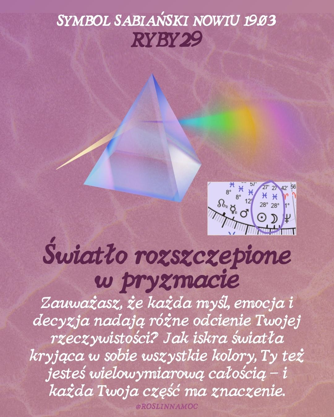 nowryby26-sabian-roslinnamocpl