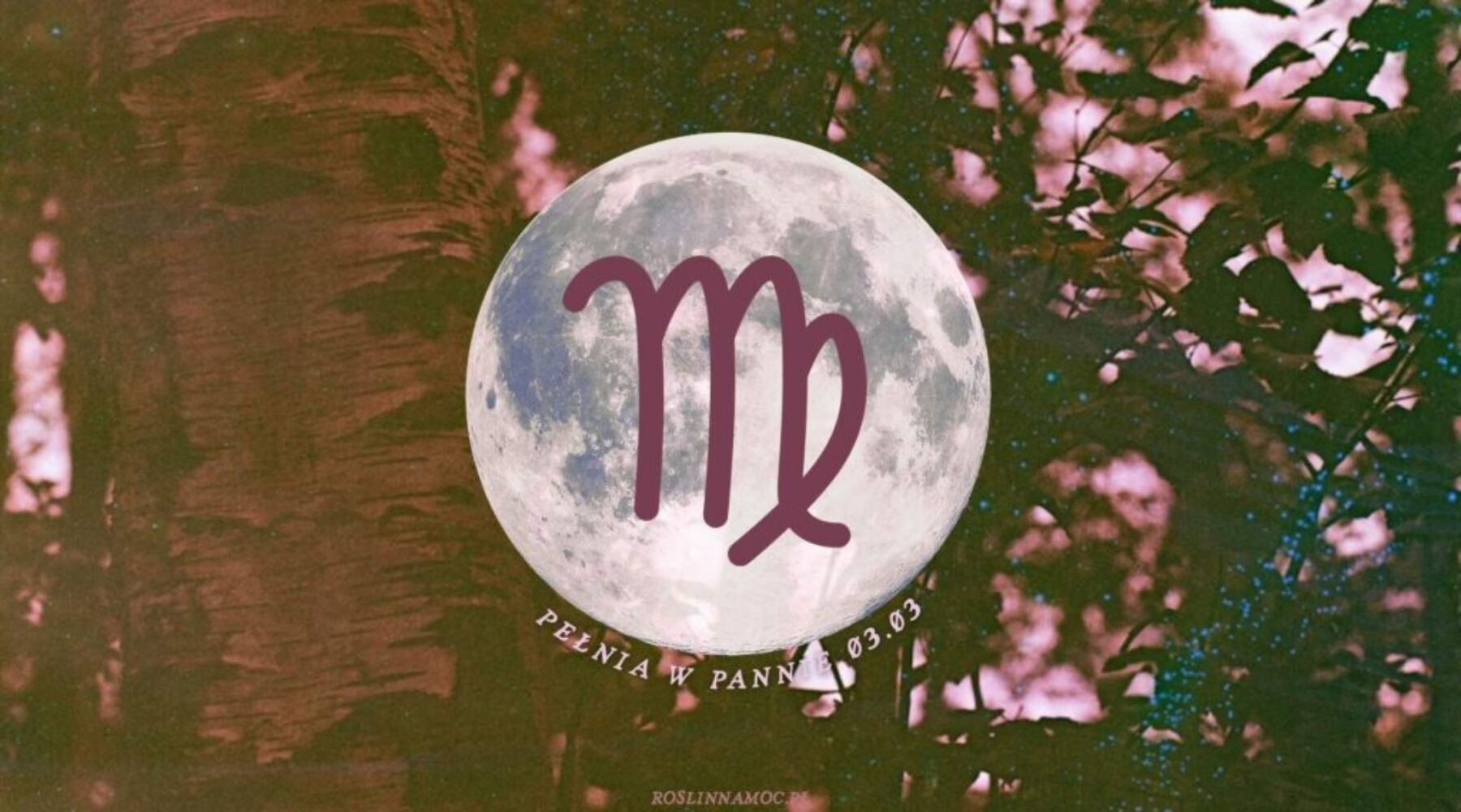 pelniawpannie2026-1-roslinnamocpl
