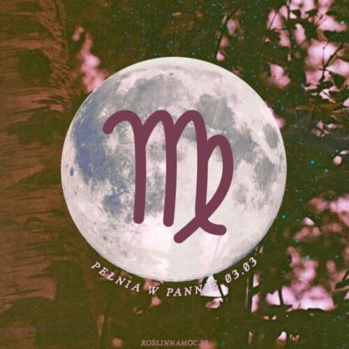pelniawpannie2026-1-roslinnamocpl