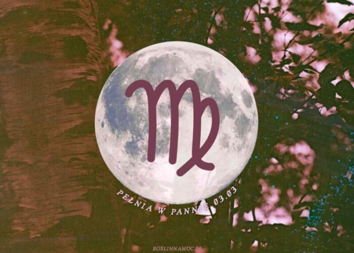 pelniawpannie2026-1-roslinnamocpl