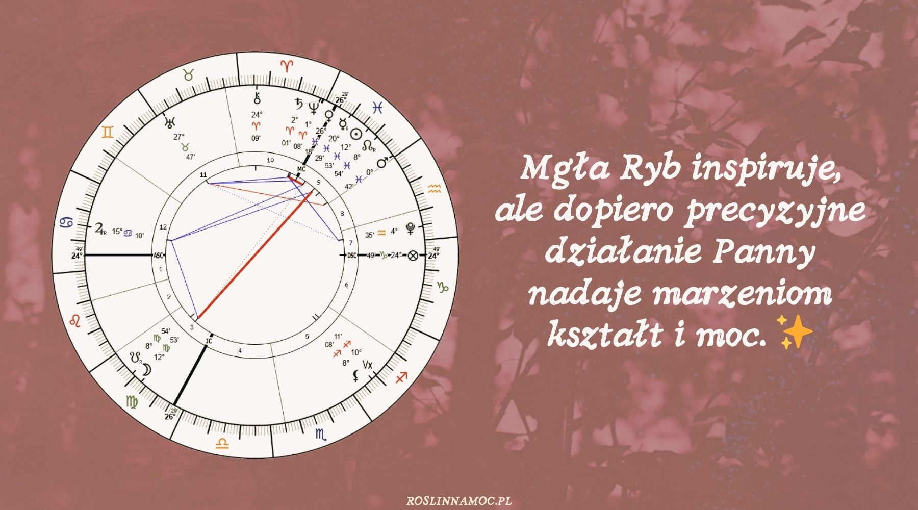 pelniawpannie2026-2-roslinnamocpl