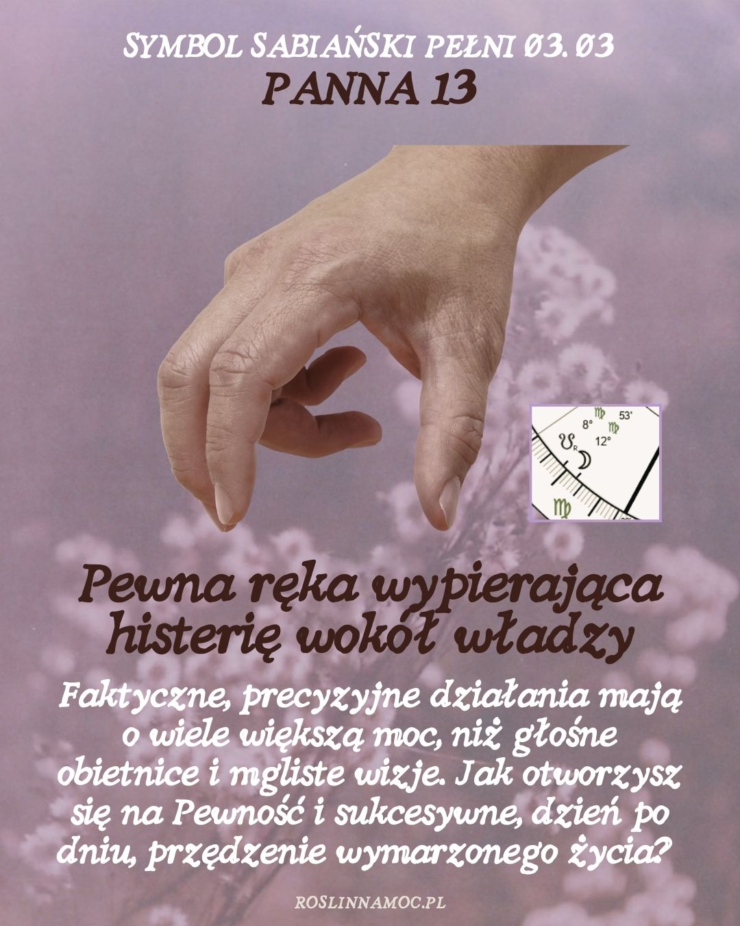 pelniawpannie2026-6-roslinnamocpl