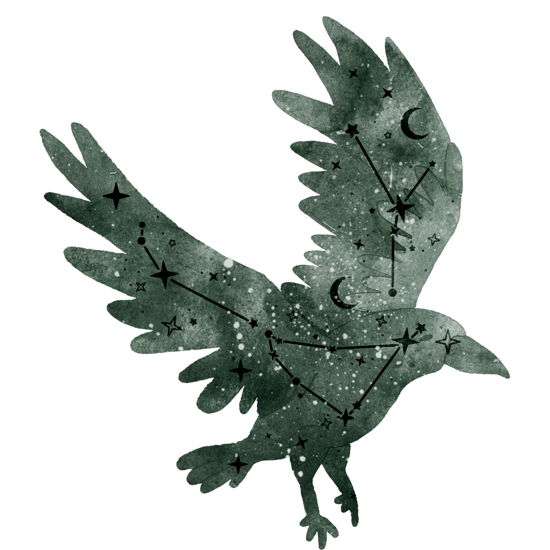 Kurs online: ASTRO NA START – kurs Astrologii dla Początkujących ~ 1 edycja ~ start: 30.06 [przedsprzedaż -15%]