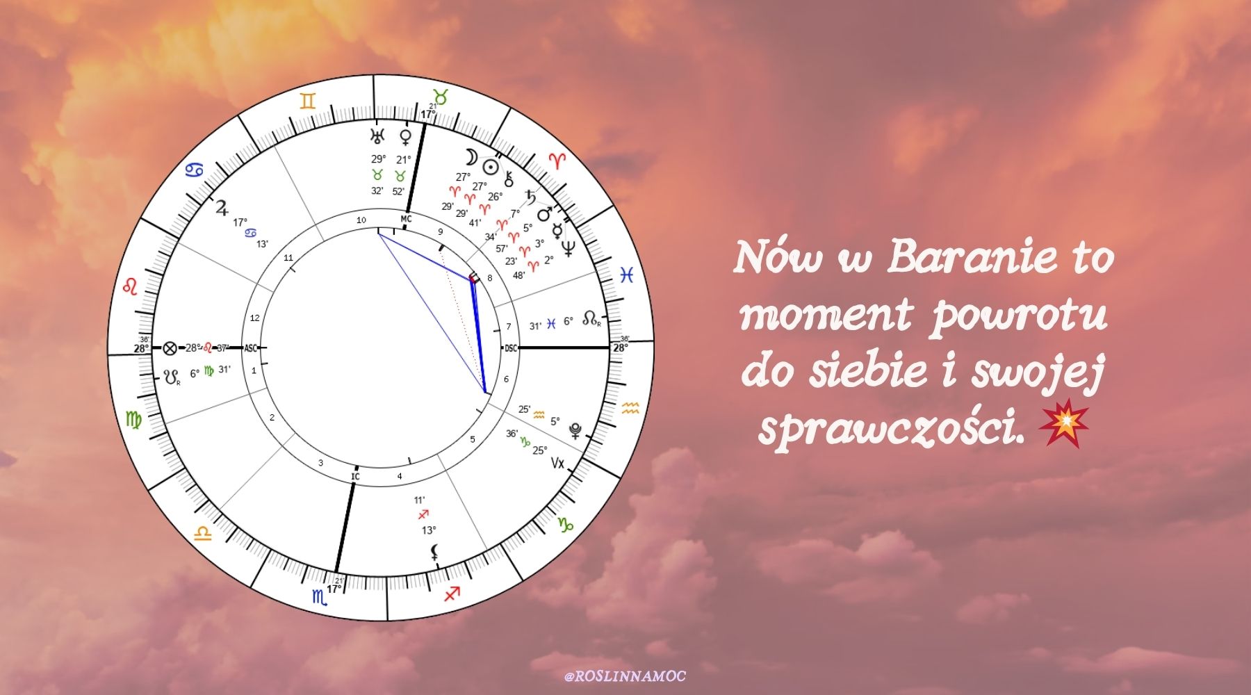 nowwbaranie2-2026-roslinnamocpl