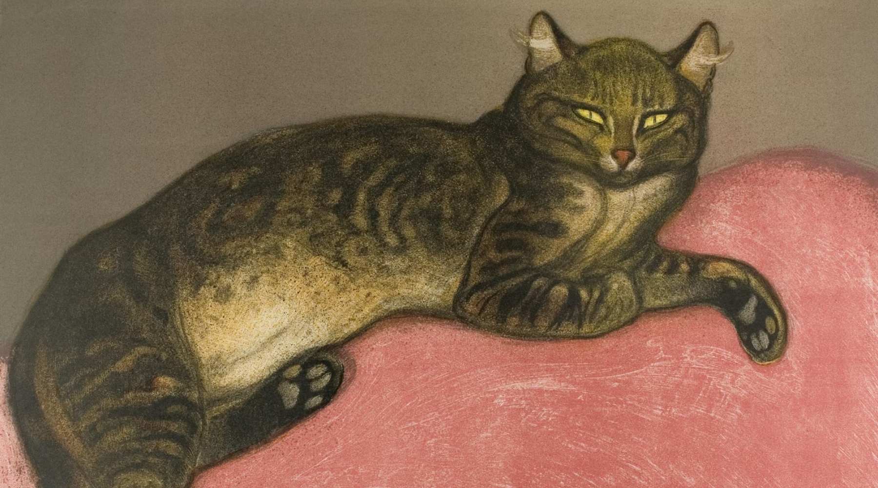 nowwbaranie3-2026-roslinnamocpl