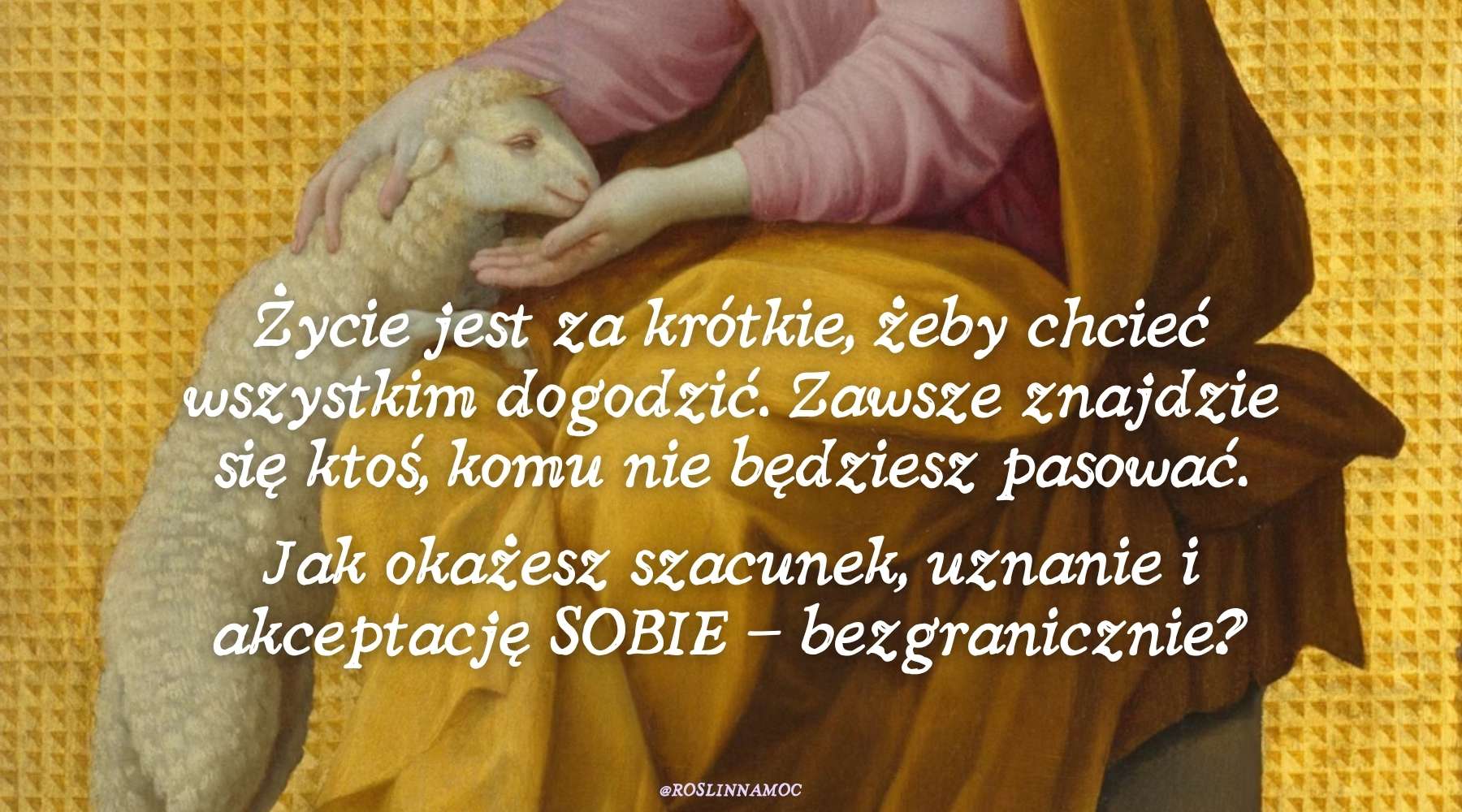 nowwbaranie4-2026-roslinnamocpl