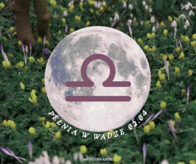 pelniawwadze26-1-roslinnamocpl