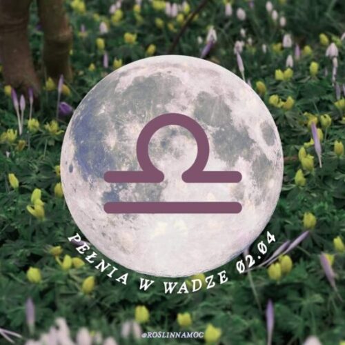 pelniawwadze26-1-roslinnamocpl