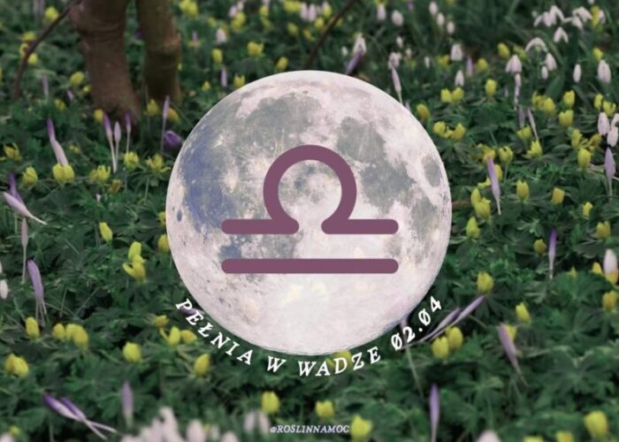 pelniawwadze26-1-roslinnamocpl