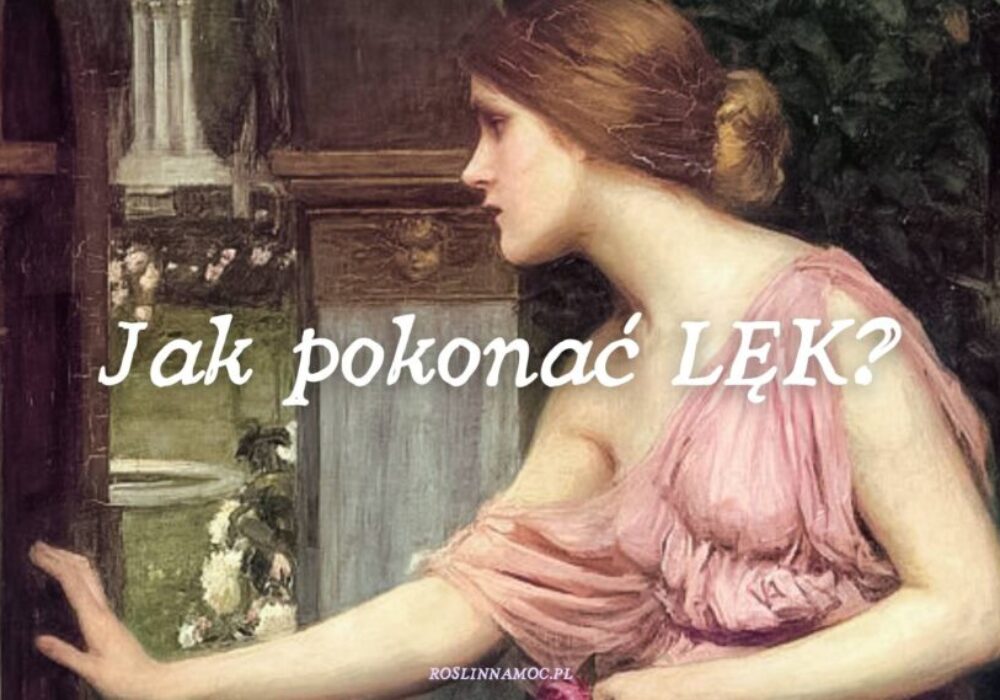 2_jakpokonaclek_roslinnamocpl