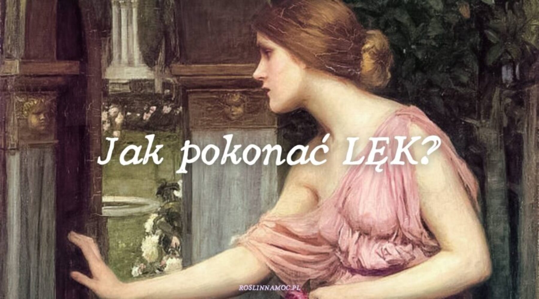 2_jakpokonaclek_roslinnamocpl