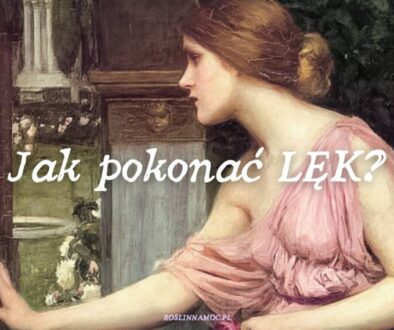 2_jakpokonaclek_roslinnamocpl