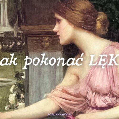 2_jakpokonaclek_roslinnamocpl