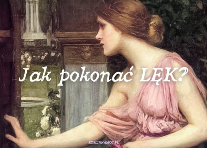 2_jakpokonaclek_roslinnamocpl