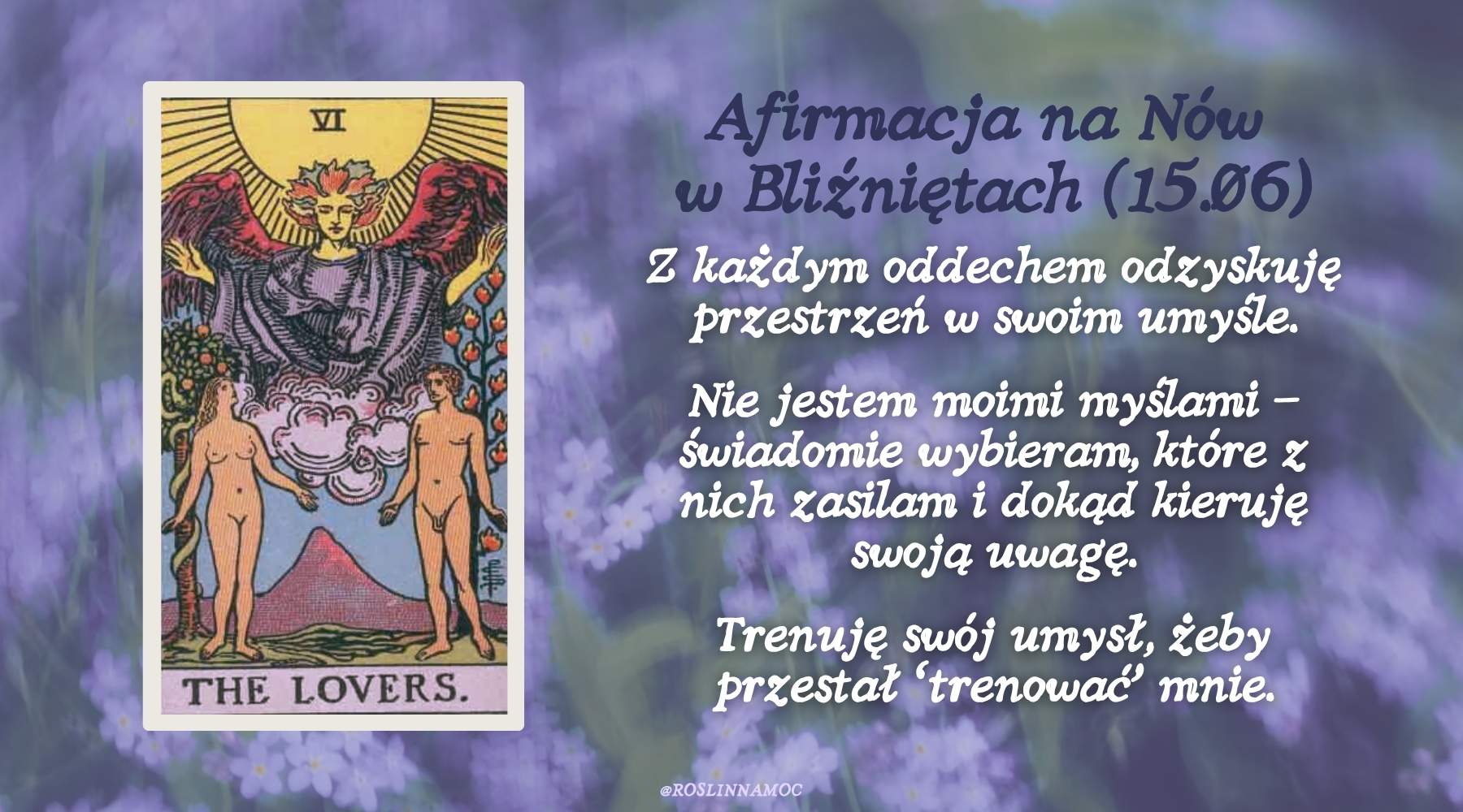 afirmacja-nówwbliznietach2026-roslinnamocpl