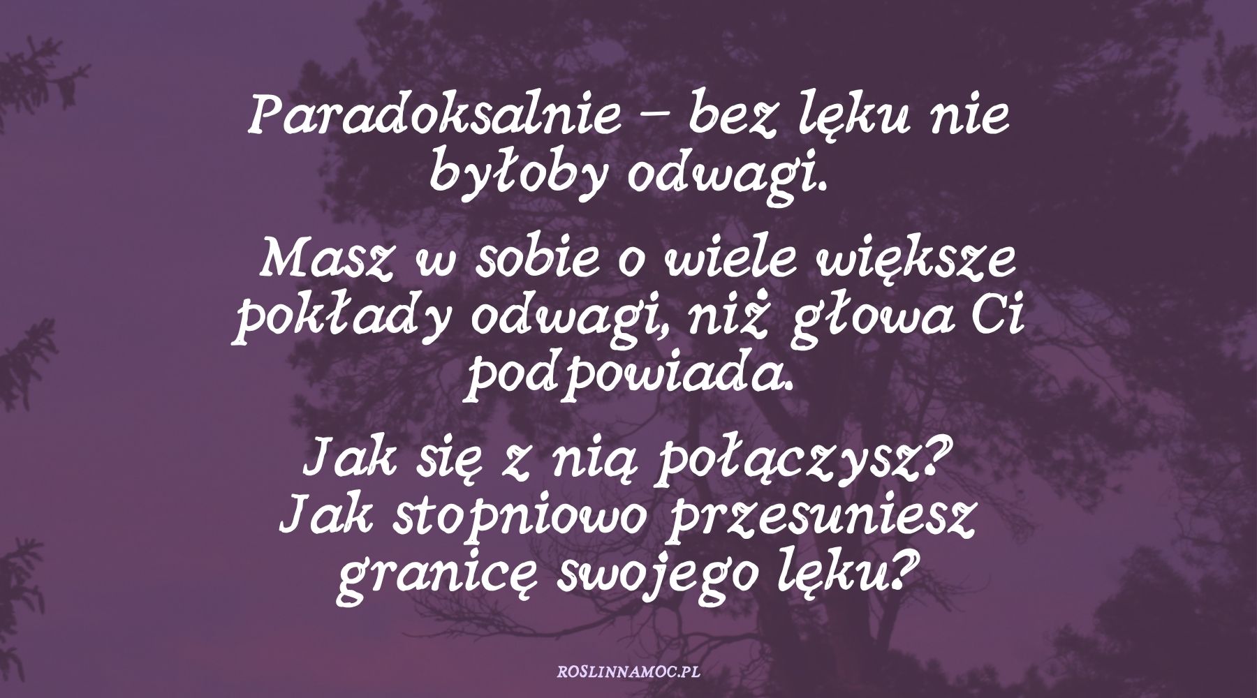 bezleku-roslinnamocpl