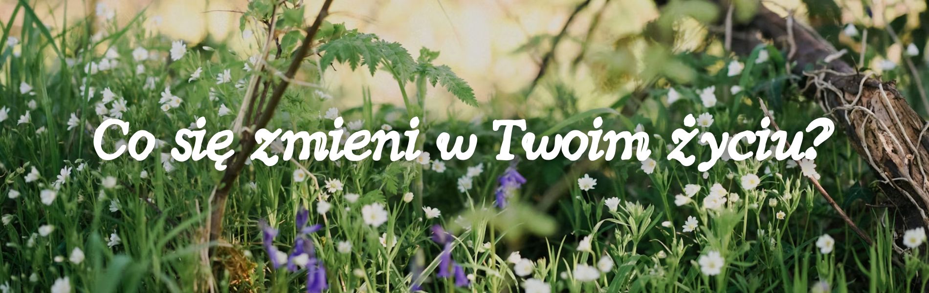 co-sie-zmieni-roslinnamocpl