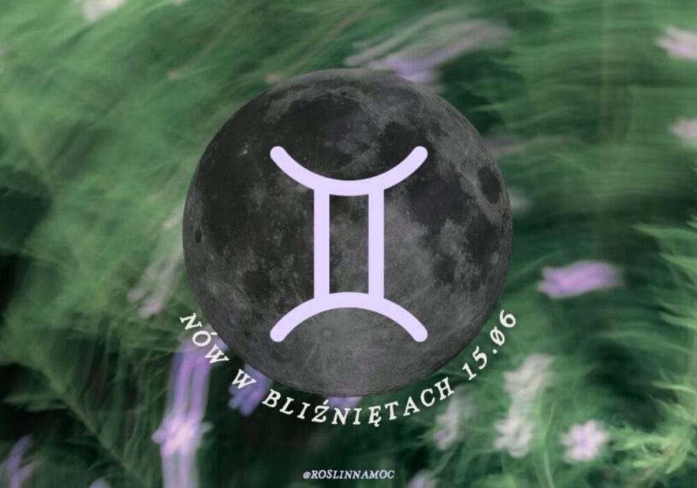nówwbliznietach2026-roslinnamocpl