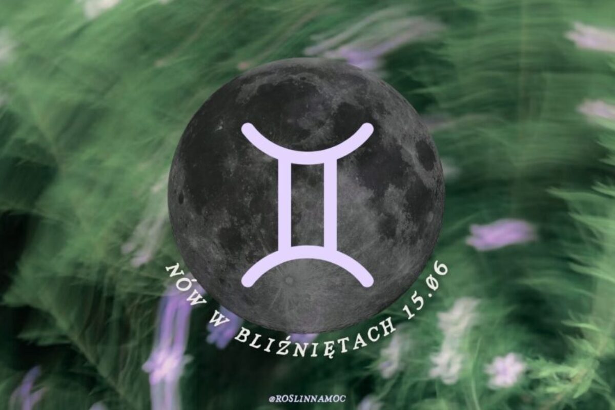 nówwbliznietach2026-roslinnamocpl