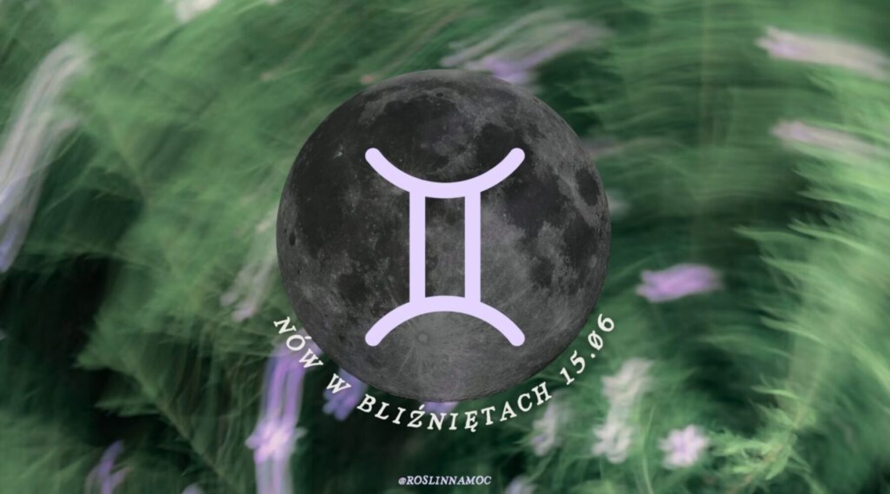 nówwbliznietach2026-roslinnamocpl
