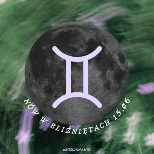 nówwbliznietach2026-roslinnamocpl