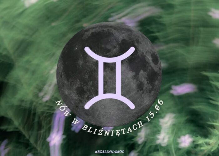 nówwbliznietach2026-roslinnamocpl