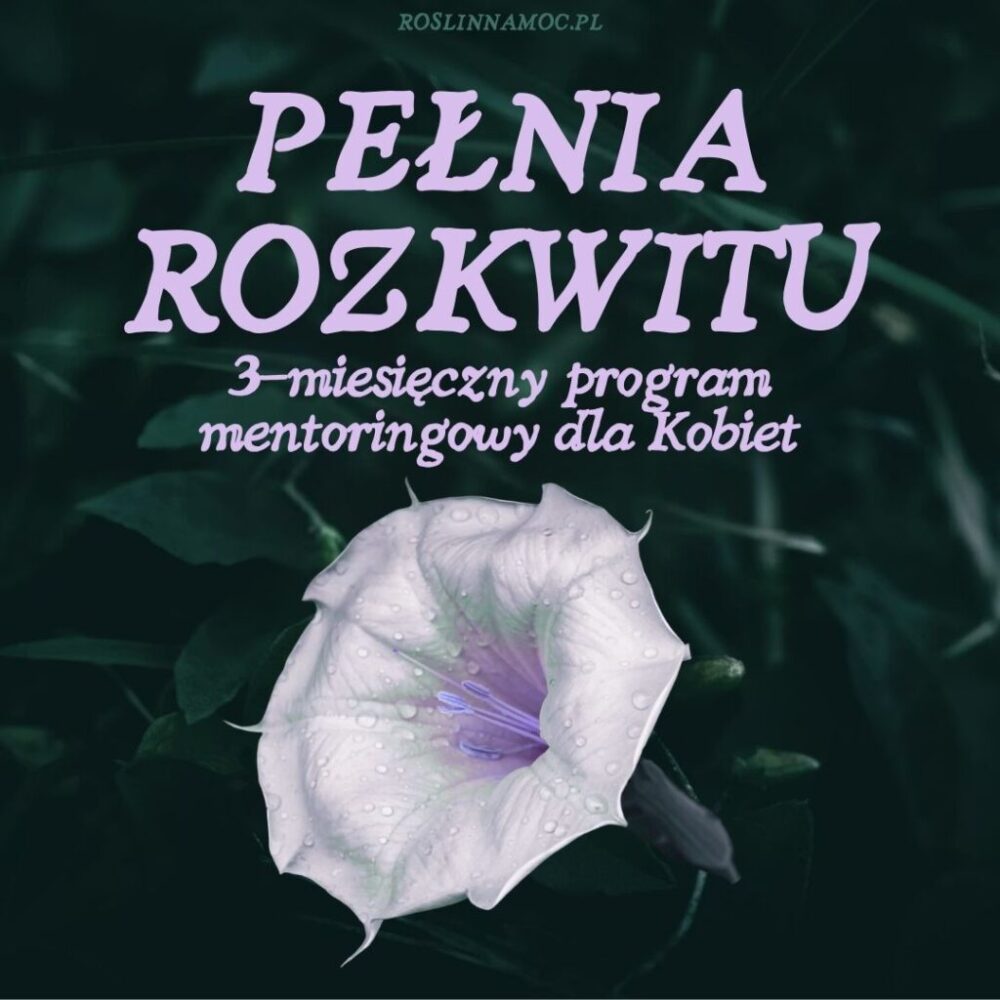 pelnia-rozkwitu-3mc-roslinnamocpl