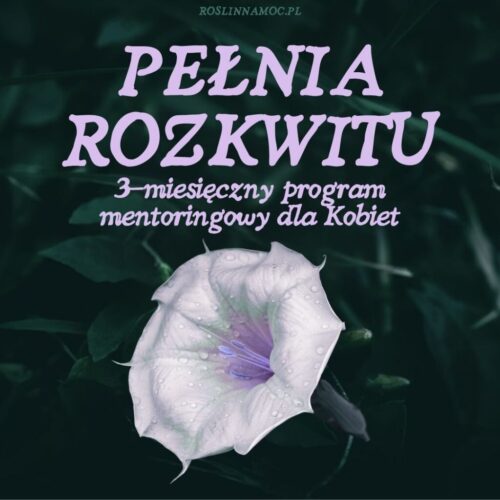 pelnia-rozkwitu-3mc-roslinnamocpl